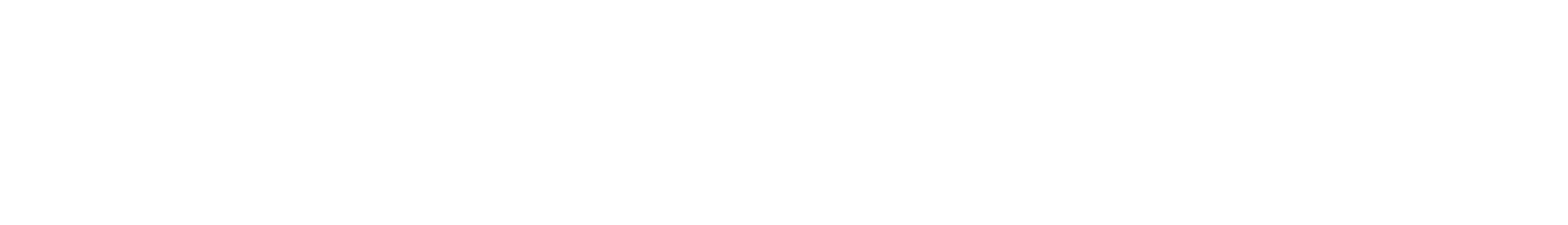El Torito